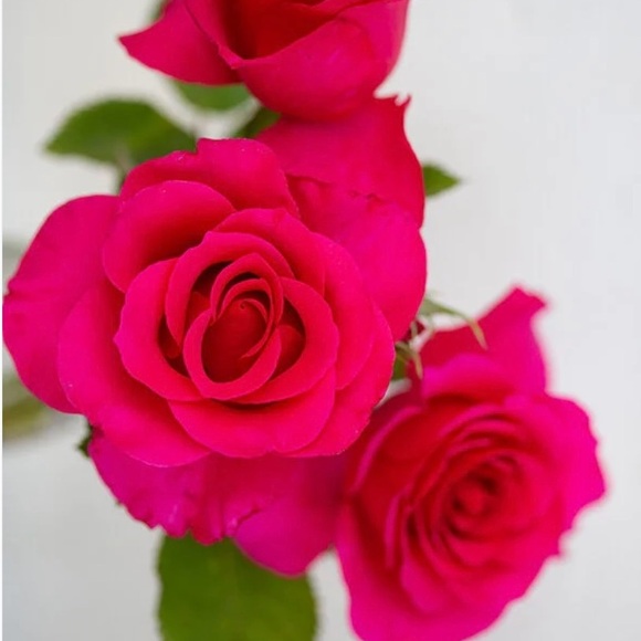 Lole women’s dark rose pink Zip-Up athletic hoodie, size L, good condition - Picture 4 of 14